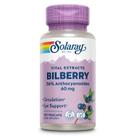 Suplemento SOLARAY: extrato de mirtilo, 60 mg, 120 cápsulas vegetais Suplemento SOLARAY: extrato de mirtilo, 60 mg, 120 cápsulas vegetais