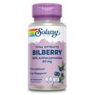 Suplemento SOLARAY: extrato de mirtilo, 60 mg, 60 cápsulas vegetais