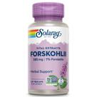 Suplemento SOLARAY Forskohlii 385 mg 60 cápsulas