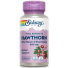 Suplemento SOLARAY One Daily: Extrato de espinheiro 600 mg (30 unidades)