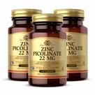Suplemento Solgar Picolinato de Zinco - 22mg - 300 Comprimidos
