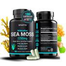 Suplemento SPARTIS Sea Moss 2250mg com bexiga e raiz de bardana