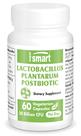 Suplemento Supersmart Lactobacillus Plantarum PostBiotic 20B CFU Suplemento Supersmart Lactobacillus Plantarum PostBiotic 20B CFU