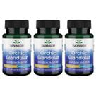 Suplemento Swanson Orchic Glandular Men's Health 1.000 mg 30 comprimidos