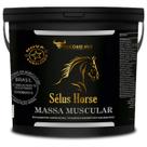 Suplemento Tonus Massa Muscular Vaquejada Potro Massa 2,5kg