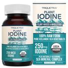 Suplemento Triquetra Health Iodo orgânico 250mcg Sea Complex