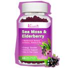 Suplemento Vazatisi - Gomas de Sabugueiro com Sea Moss (60 unidades) Suplemento Vazatisi - Gomas de Sabugueiro com Sea Moss (60 unidades)