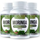 Suplemento Vegano Moringa 300cps de 500mg Cada