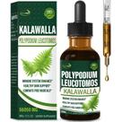 Suplemento Verdeherb Polypodium leucotomos Immune Support 60mL