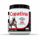 Suplemento Vetnil Creatina 500 g para Equinos e Cães