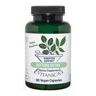 Suplemento Vitanica Bitters Extra - Suporte à Digestão (90 Cápsulas)