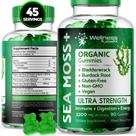 Suplemento WELLNESS LABSRX Sea Moss Gummies 3200 mg 90 unidades