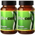 Suplemento Xtreme Power Belt BIOXCELL Células-Tronco 1000mg Suplemento Xtreme Power Belt BIOXCELL Células-Tronco 1000mg
