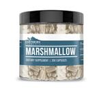 Suplementos dietéticos Earthborn Elements Marshmallow Root 200 cápsulas