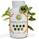 Suplementos Green Dragon Andrographis Cápsulas 450 mg x 100