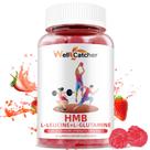 Suplementos Wellcatcher HMB e leucina, aminoácido, fornecimento de 30 dias
