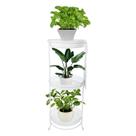 Suporte Aramado Branco para Vasos de Plantas 3 Bandejas Floreira - 102/6 Azzo Suporte Aramado Branco para Vasos de Plantas 3 Bandejas Floreira - 102/6 Azzo