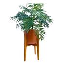 Suporte Cachepot P/ Vasos De Plantas Alto Luxo Grande Suporte Cachepot P/ Vasos De Plantas Alto Luxo Grande