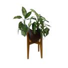 Suporte Cachepot P/ Vasos De Plantas Alto Luxo Pequeno