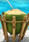 Suporte coco