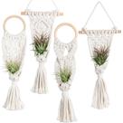 Suporte de macramê Air Plant Holders Melphoe, pacote com 4, decoração Boho