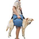Suporte de mochila de emergência Dog Carry Sling Coodeo XL Blue Suporte de mochila de emergência Dog Carry Sling Coodeo XL Blue