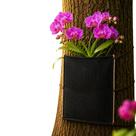 Suporte De Orquidea Fixador Com Proteção Uv Variações de Un