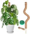 Suporte de plantas dobrável Moss Pole Craft911 de 122 cm