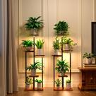 Suporte de plantas interno com Grow Light, pacote com 2 prateleiras de metal de 5 camadas