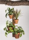 Suporte de plantas Kalmar Home para 4 vasos de terracota com corrente
