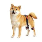 Suporte de quadril para cães Yinchogee para artrite displásica do quadril