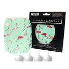 Suporte de vela Luminary Lanterns MODGY PinkyDo, pacote com 4