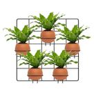 Suporte Painel Para Vasos e Plantas Parede Aramado com Treliça Pendurar Planta 40 x 40 cm