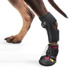 Suporte para Patas de Cães HAGGEMI XL com Calçados Corretivos de Bobina