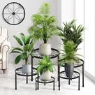 Suporte para plantas de metal, pacote com 5 unidades CADANI Heavy Duty Antiferrugem