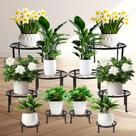 Suporte para Plantas ESRICH, Kit com 10 Unidades, Metal Antiferrugem, Alta Resistência Suporte para Plantas ESRICH, Kit com 10 Unidades, Metal Antiferrugem, Alta Resistência