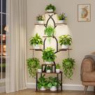 Suporte para Plantas EVAWOO 7 Andares 162 cm de Altura com Luzes de Crescimento Suporte para Plantas EVAWOO 7 Andares 162 cm de Altura com Luzes de Crescimento