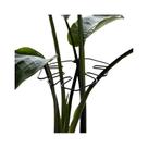Suporte Para Plantas Monstera Em Metal Durável, Treinador De Plantas Trepadeiras, Estabilizador Suporte Para Plantas Monstera Em Metal Durável, Treinador De Plantas Trepadeiras, Estabilizador