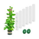 Suporte Para Plantas Trepadeiras De Jardim, Acessórios Para Bonsai, Suporte De Crescimento Para Suporte Para Plantas Trepadeiras De Jardim, Acessórios Para Bonsai, Suporte De Crescimento Para