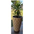 Suporte para vaso 25cm redondo em madeira tratada roda cristal Gold Plant Suporte para vaso 25cm redondo em madeira tratada roda cristal Gold Plant