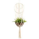 Suporte para Vaso de Plantas Macramê Bege Cru Cactus