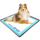 Suporte para xixi GREGCE para cães 24x24 cm com tapete de silicone