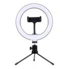 Suporte Ring Light com Luz e Tripé para Câmeras e Celulares