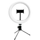 Suporte tipo ring light livestream 10 pol. com tripé ajustável usb ac370 - MULTILASER
