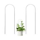 Suporte Transparente Em Acrílico Em Formato De U Para Plantas Trepadeiras Internas - Durável