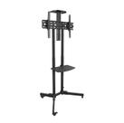 Suporte TV Pedestal com Rodízios e Bandeja 32 à 70 Polegadas - Aquário RACK-100 Suporte TV Pedestal com Rodízios e Bandeja 32 à 70 Polegadas - Aquário RACK-100