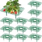 Suportes para Morango Iceyyyy, kit com 12 suportes plásticos para plantas