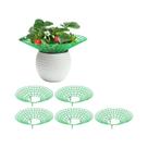 Suportes Para Plantas De Morango, 510 Peças, Gaiolas De Três Pernas Para Proteção Contra Mofo,
