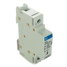 Supressor de surto 2p 60a 275v - weg