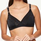 Sutia brigitte N red 50